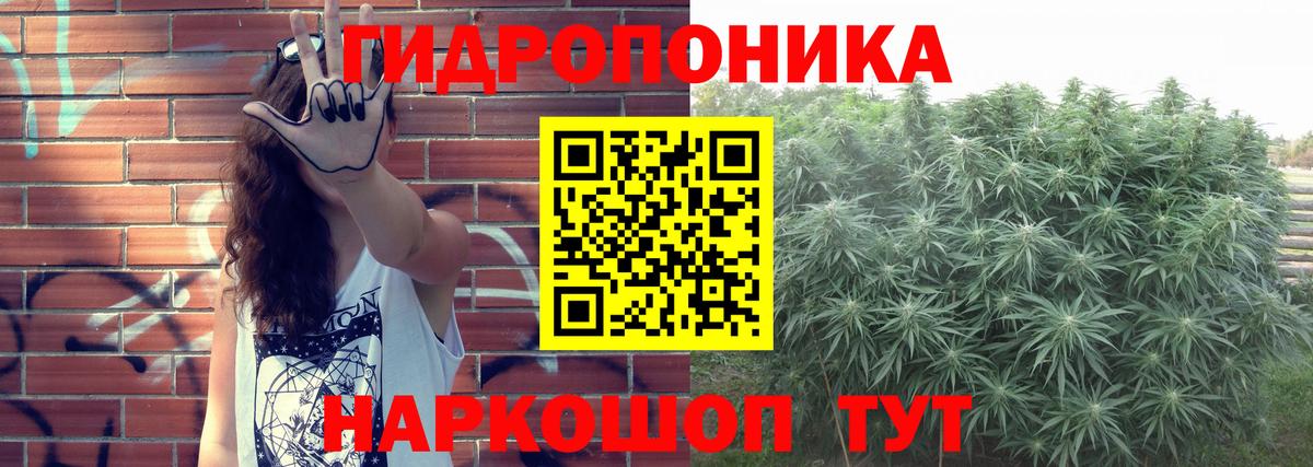 Конопля Ganja  Конопля OG Kush  Вход с VPN  Бошки Шишки планчик  Луга  Бошки Шишки тримм 